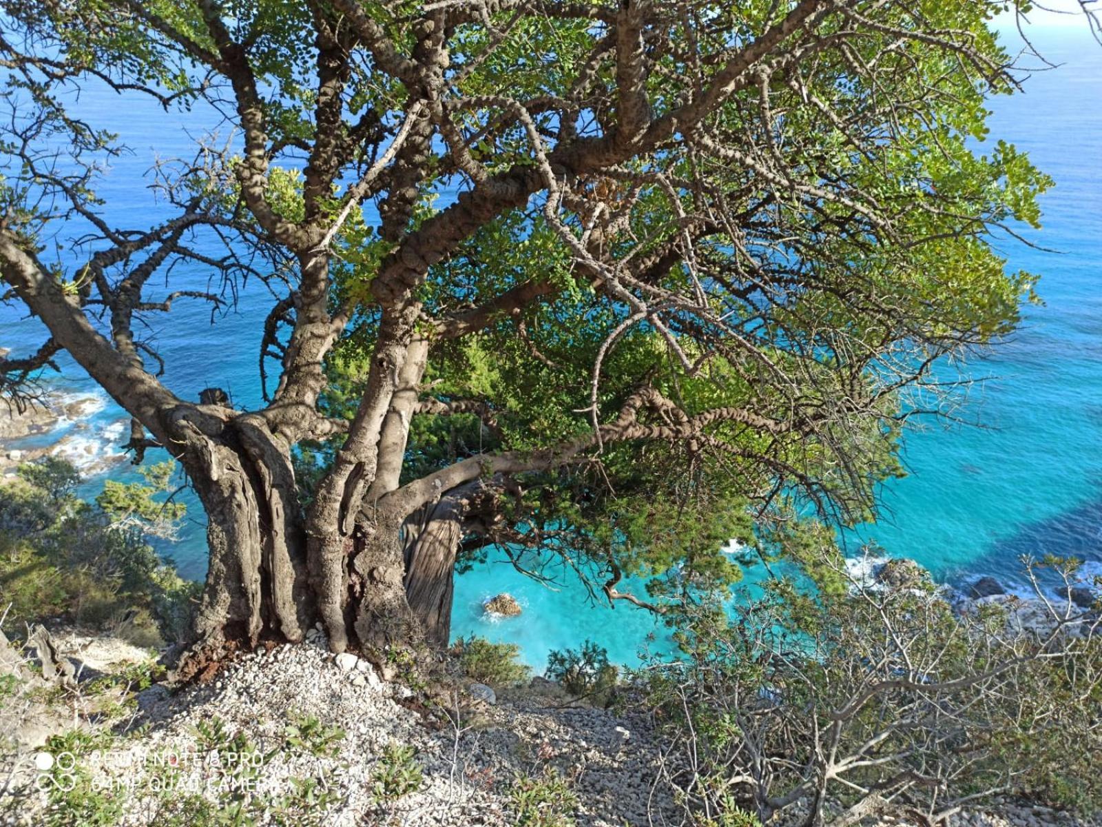 Bedandclimbing Ξενοδοχείο Baunei Εξωτερικό φωτογραφία